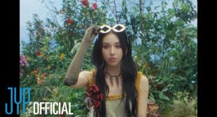 SHOOT (Firecracker) Song Lyrics