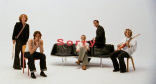 Sorry Lyrics