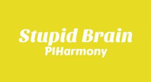 Lyrics of Stupid Brain Song