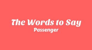Lyrics of The Words to Say Song