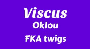 Viscus Lyrics