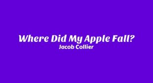 Where Did My Apple Fall? Song Lyrics