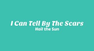 Lyrics of I Can Tell By The Scars Song