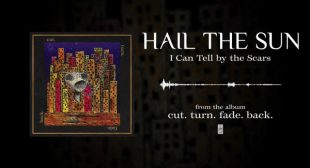 I Can Tell By The Scars Lyrics
