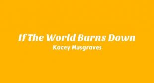 Lyrics of If The World Burns Down Song