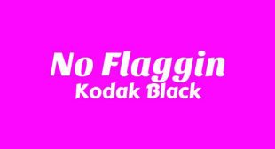 Lyrics of No Flaggin Song