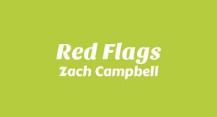 Lyrics of Red Flags Song