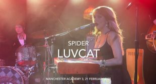Spider Song Lyrics