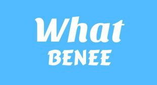 What Song Lyrics