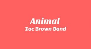 Animal Lyrics