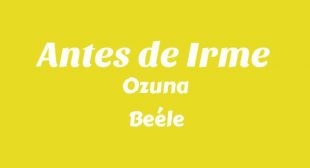 Antes de Irme Lyrics