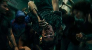 Bico do corvo (English Translation) Lyrics