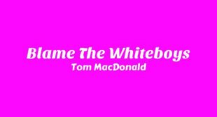 Lyrics of Blame The Whiteboys Song