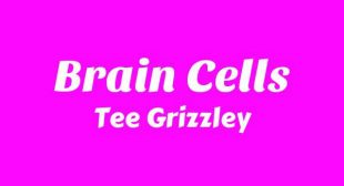 Brain Cells Song Lyrics