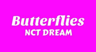 Butterflies (English Translation) Song Lyrics