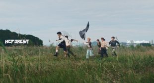 Butterflies (English Translation) Lyrics