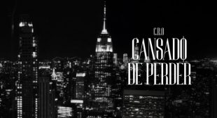 Cansado de perder Song Lyrics