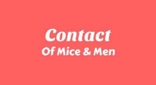 Contact Song Lyrics