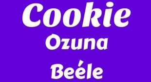 Cookie (English Translation) Lyrics