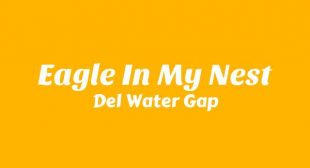 Eagle In My Nest Lyrics – Del Water Gap