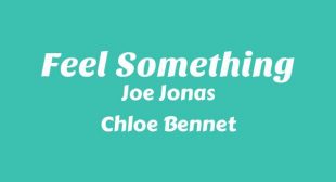Lyrics of Feel Something Song