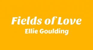 Lyrics of Fields of Love Song