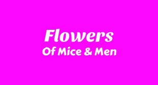 Flowers Lyrics