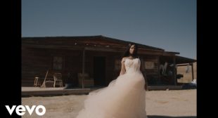 Lyrics of Allegedly Song