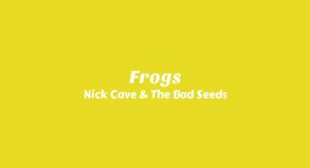 Frogs Song Lyrics