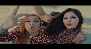 GELATINOZO (English Translation) Song Lyrics