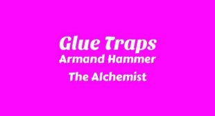 Lyrics of Glue Traps Song