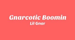 Gnarcotic Boomin Lyrics