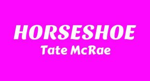 HORSESHOE Song Lyrics