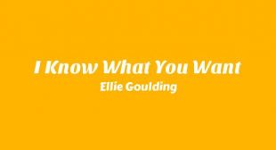 I Know What You Want Song Lyrics