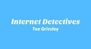 Lyrics of Internet Detectives Song