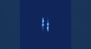 Khoc Đấy Lyrics – Thắng