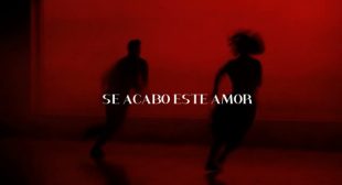 Lyrics of Leave Me Alone (English Translation) Song