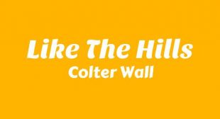 Like The Hills Lyrics