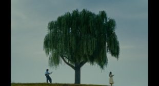 Morfina Song Lyrics