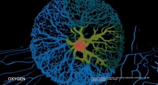 OXYGEN (English Translation) Song Lyrics