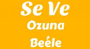 Se Ve Lyrics