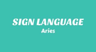 Lyrics of SIGN LANGUAGE Song