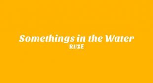 Lyrics of Everyday (English Translation) Song