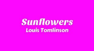 Sunflowers Lyrics