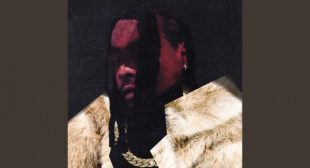 Lyrics of Survive Song