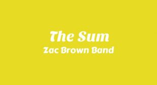 Lyrics of The Sum Song