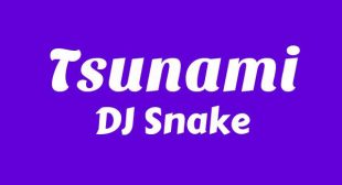 Lyrics of Tsunami Song