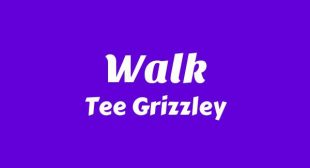 Lyrics of Walk Song