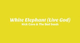 White Elephant (Live God) Song Lyrics