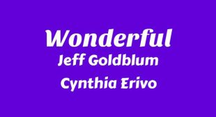 Lyrics of Wonderful Song